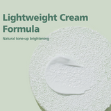 BRINGGREEN Tea Tree Cica Tone Up Sun Cushion from shop-vivid.com