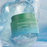 TONYMOLY Houttuynia Cordata Cica Cooling Watery Cream from shop-vivid.com